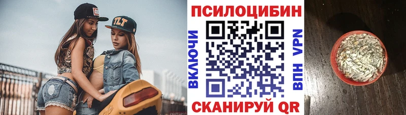 Псилоцибиновые грибы Psilocybine cubensis Островной