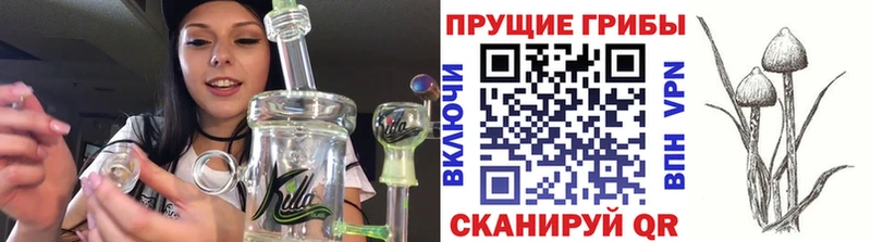 Псилоцибиновые грибы мухоморы  наркотики  мега ТОР  Островной 